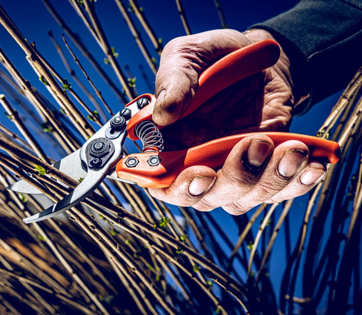 Löwe 11 Precision Clean Cut sievietēm