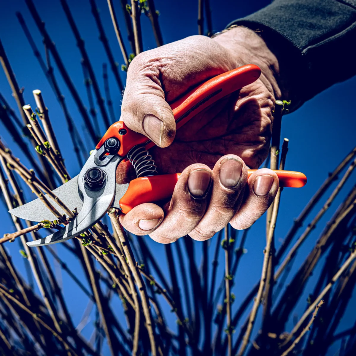 Dārza šķēres Löwe 14.104 Economic Clean Cut