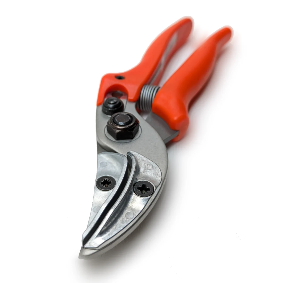 Oriģinālās Löwe rožu prezentācijas šķēres