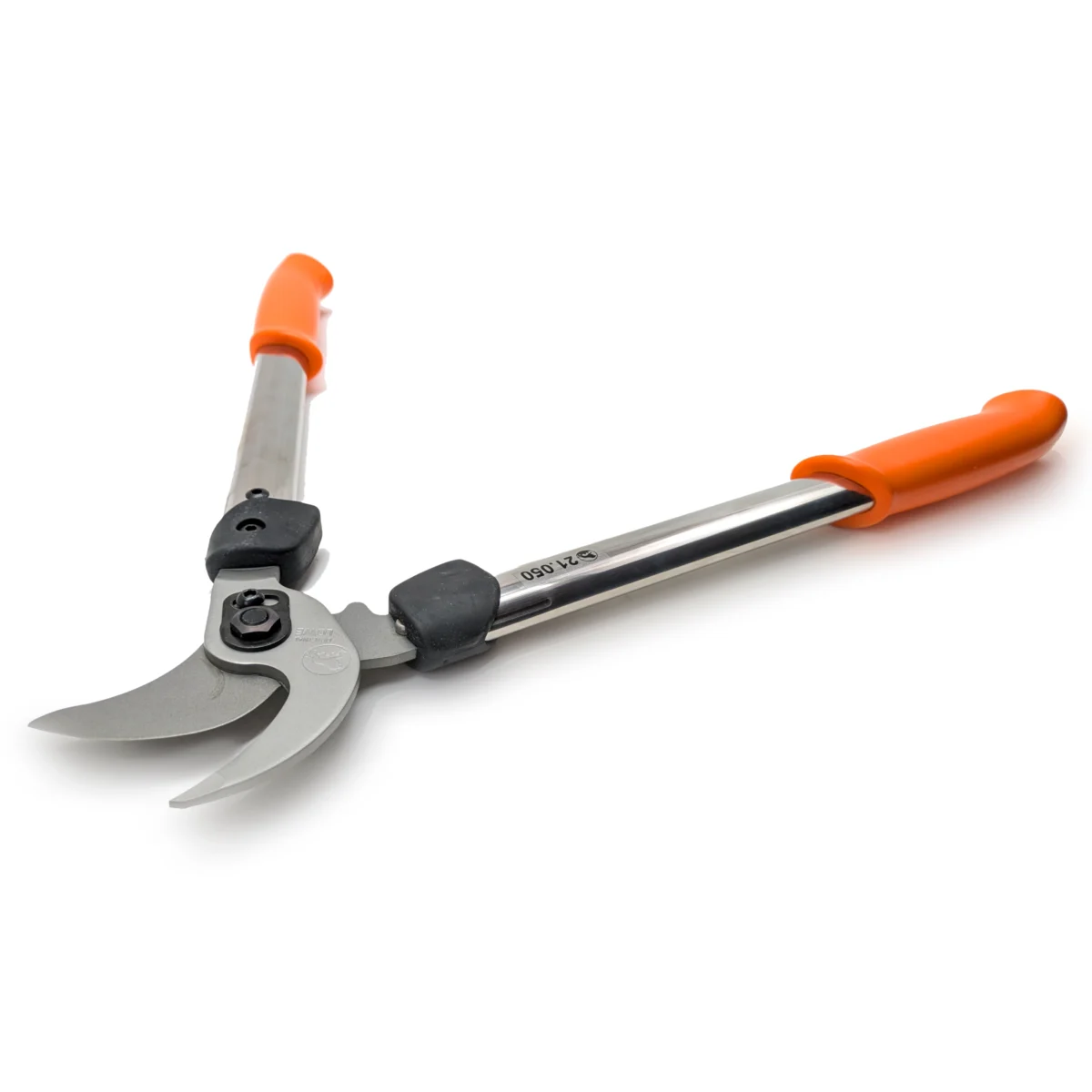 Löwe zaru grieznes 21 ap 50 cm