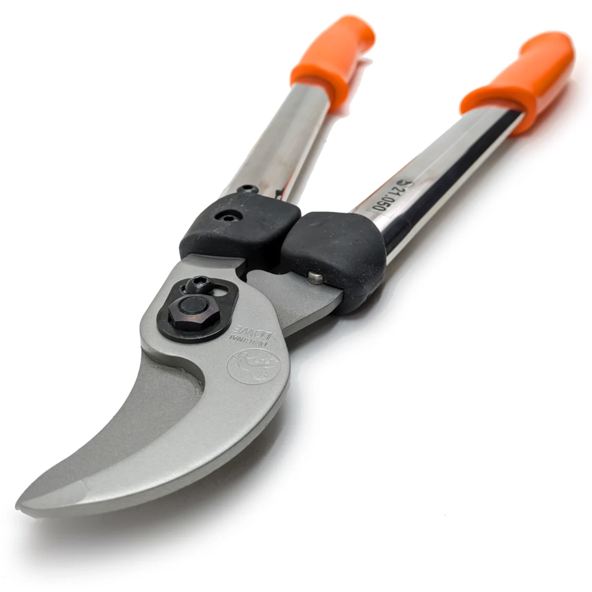 Löwe zaru grieznes 21 ap 50 cm