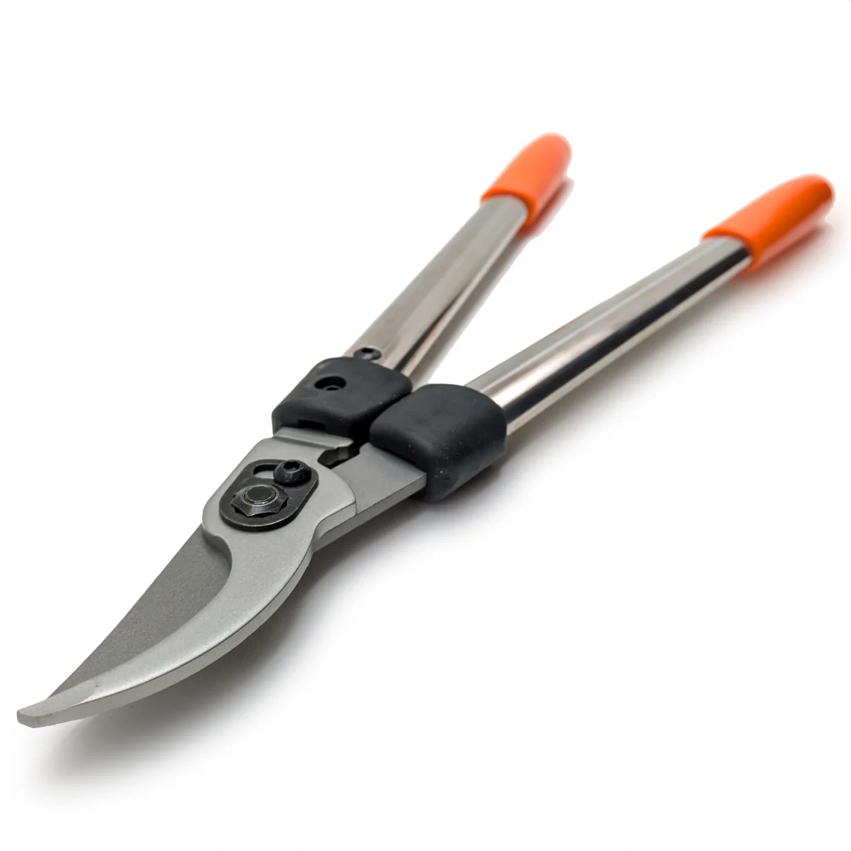 Löwe zaru grieznes 31 ap 50 cm